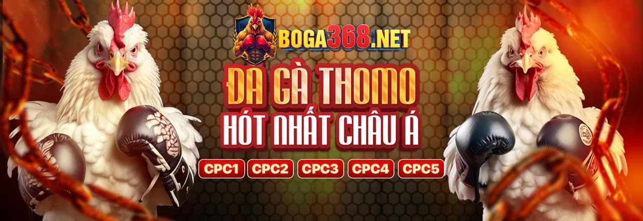 Đá gà trực tiếp tại neww88 chính thức